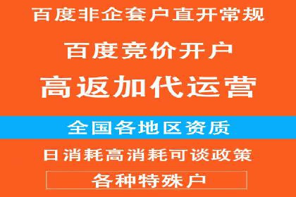 深入了解SEM代运营服务公司的技术实力
